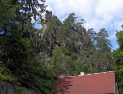 Resize of Talpa 005.jpg